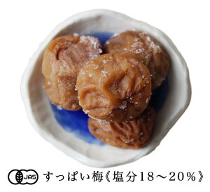 yzL@JASFؔ~ ς~ [~XiI[KjbN߂ڂja̎RY[100g]s퉷ցt