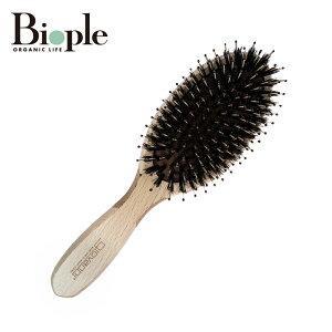 ygiovannizX[L[uV 2020 W@j | ̓ VR  wAuV  }bT[W uV  ̖ c c  NV   ؐ fB[X  Y v[g Mt