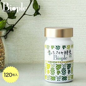 【Bio-Normalizer】青パパイヤ酵素EX ボトル | コスメキッチン サプリ サプリメント 青パパイヤ酵素 青パパイヤ 有機 有機青パパイヤ 実 種 皮 発酵 自然乾燥 高濃度酵素 酵素 錠剤タイプ 飲みやすい バイオ・ノーマライザー 母の日