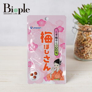 yEPz~ڂE~100% 10.8g i` EP ̓