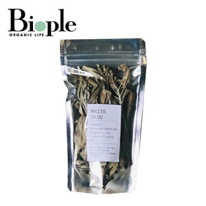 yForetmentzzCgZ[WpbN tH[gg |  tbV fBe[V h 悯 C] 萶 ׋C F ̓