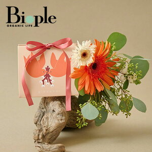 ygiovanniz{fBXNu mini-twin HA | Mtg XNu {fBXNu v[g ~jTCY Zbg{fBPA XyVPA  Mtg