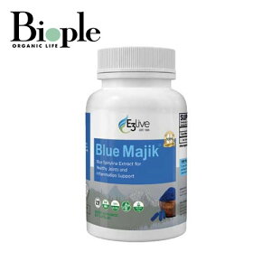 y|Cg10{zyE3LivezBlueMajikJvZ | Ci[PA }`~l Ɖu Oet[ Fsgp HiYsgp I[KjbN