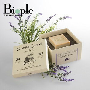 yGamila SecretzK~V[Nbg x_[ | Ό  ΂ {fB\[v \[v ΂  {fB Sg XLPA XLPA\[v {fBPA x_[ bNX V