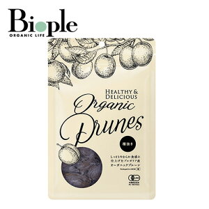 yTHE DRIEDFRUITzI[KjbNv[i픲j| I AJVA nj[ v[  H@ S N I[KjbN e L@͔|