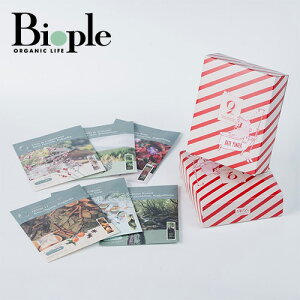 yKOSelig JAPANz9KOSoXpE_[ EB^[W[j[Lbg 6ނ̍ |  C oX\g Lbg Zbg ێ  bNX  JT r oX^C