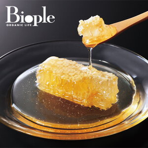 yXC[gn[xXgzAJVAnj[R | n`~c N nj[R