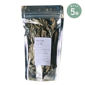 y|Cg5{zyForetmentzzCgZ[WpbN tH[gg |  tbV fBe[V h 悯 C] 萶 ׋C F ̓