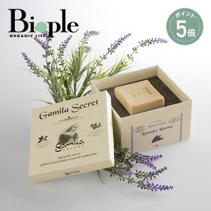 y|Cg5{zyGamila SecretzK~V[Nbg x_[ | Ό  ΂ {fB\[v \[v ΂  {fB Sg XLPA XLPA\[v {fBPA x_