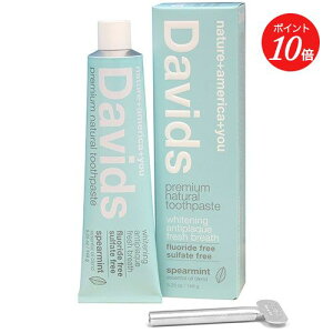 y|Cg10{zyDavidszzCgjOgD[Xy[XgiXyA~gj fCBbY |   ݂͂ n~KL L L\h I[KjbN  ˂΂ C duV