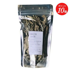 yGg[ŊԒPő19{zyForetmentzzCgZ[WpbN tH[gg |  tbV fBe[V h 悯 C] 萶 ׋C F ̓