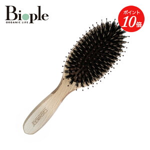 yGg[ŊԒPő19{zygiovannizX[L[uV 2020 W@j | ̓ VR  wAuV  }bT[W uV  ̖ c c  NV   ؐ fB