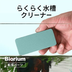 炭炭N[i[@pKXX|W@|bV[@ot@ANAEpX|W@KXN[i[@RP