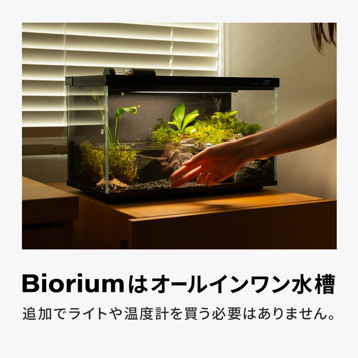 楽天市場】【絶対使うアイテム付き】水槽セット 45cm アクアリウム 