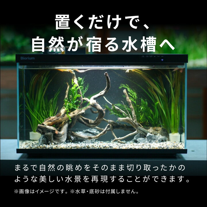 楽天市場】水槽レイアウト 水槽セット 初心者 簡単 きれい おしゃれ 