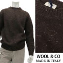 WOOL＆CO ≪ウール＆コー≫　イタリアブランド イタリア製 ラグランスリーブ　クルーネック ウールセーター 秋冬 メンズ イタリア製 ローゲージニット 丸首セーター≪ブラウン　茶≫33000-MTR