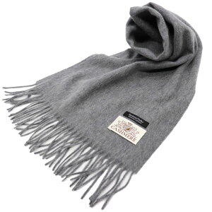 SartoriaPisthes@hXeBbNuh@JV~}t[ @JV~100@ჁY & fB[X@ubN@@lCr[@@`R[O[@CgO[@L@jZbN