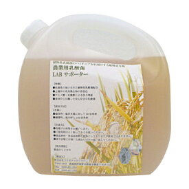 楽天市場 Abサポーターの通販