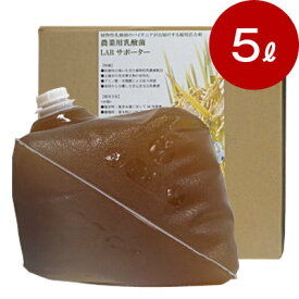 楽天市場 Abサポーターの通販