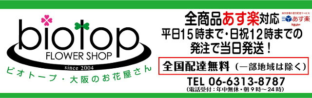 楽天市場 花屋のbiotopビオトープ通販サイト Biotopビオトープ楽天市場店 トップページ 楽天市場 花屋のbiotopビオトープ通販サイト Biotopビオトープ楽天市場店 トップページ