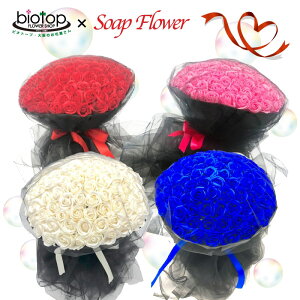 99{u[P orsNoror@\[vt[iV{t[j ỏԑ ΌōꂽϏܗp̂ v[g Mtg TvCY