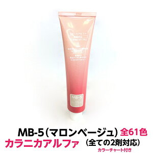 wAJ[  @ JjJAt@ MB-5}x[W 120g e 1 ƖpSĂ2܂ɂΉł܂G̋oŎgȒPwA[J[łe eŐlC