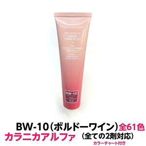 wAJ[  @ JjJAt@ BW-10 {h[C 120g e 1 ƖpSĂ2܂ɂΉł܂G̋oŎgȒPwA[J[łe eŐlC