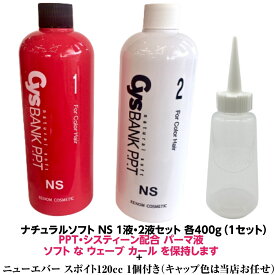 パーマ 液 PPT システィーン 配合　ナチュラル ソフト NS シス バンク 1液 2液セット 5人用 各400ml 業務用 ＋ ニューエバー スポイト 120cc 1個 カラー ヘアー ダメージ ヘアー ソフト な ウェーブ カール 理容院 美容院 プロ パーマ剤 ロッド 人気 髪質