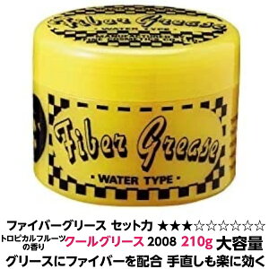 t@Co[ O[X 2008 e 210g 1 Ki gsJ t[c ̍ n O[X  t@Co[ z L ̂eNX`[蒼yɂłbNX Ƃ̍킹Z 