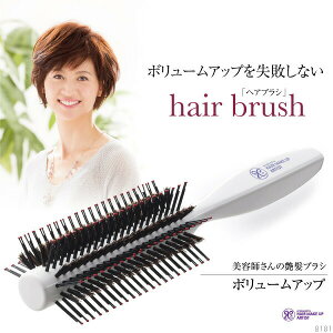 et̉uV {[Abv (`OX֑) wAuV T uV  u[ wAPA e@ e ێ PA lC