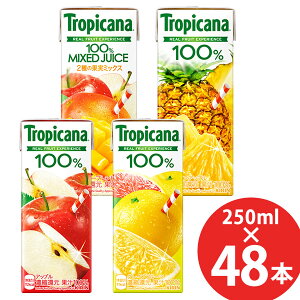 L gsJ[i100% 250ml×48{ (24{×2P[X) pbN () KIRIN ʏ`100 W[X Abv t[c