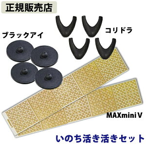 【正規販売店】いのち活き活きセット (送料無料) 丸山修寛先生監修 電磁波 静電気 対策 防止 ブロック カット コリドラ ブラックアイ MAX miniV 磁気 地磁気 電磁波 電磁波ブロッカー