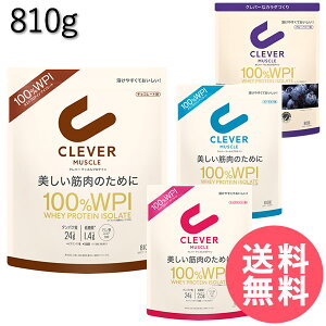 �N���o�[ �}�b�X�� WPI �z�G�C�v���e�C�� 810g (�S���ꗥ��������) �v���e�C�� ���^���p�N�� �ᓜ�� �ᎉ�� �ؓ� �؃g�� �z�G�C �A�C�\���[�g BCAA �A�~�m�_ �O���^�~���_ �A�X���[�g �z�G�C�v��