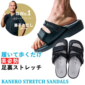 y܂tzKaneko stretch T_ () pEXgb`T_ q Xgb` T_ N  s r _CGbg p Ȃ^ jp S SF Ǝ 