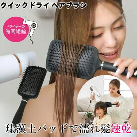 クイックドライヘアブラシ (定形外郵便送料無料) ヘアブラシ くし ドライヤー ダメージ ヘアーブラシ 時短 節電 女性 子供 ヘアケア スタイリング ブロー 珪藻土