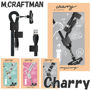 充電ケーブル内蔵 ショルダーストラップ チャーリー Charry (メール便送料無料) スマホ 携帯電話 ショルダーストラップ 充電ケーブル 充電 USB-TypeC