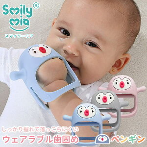 X}C[~A EFAu yM ܃pbP[W ([֑) ł EFAu Ƃɂ Xg  VR wԂh~