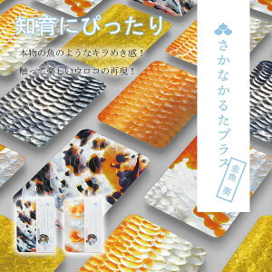 Ȃ邽vXyŁz邽  m J[hQ[ ߋ   C lC mߋ Ȃ邽 wK  t