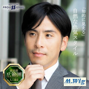 TefuRe jpEBbO X^CbVV[g [DS-PTMEN-003] (Sꗥ) EBbO tEBbO ECbO  B {[Abv ё΍  jp l S 