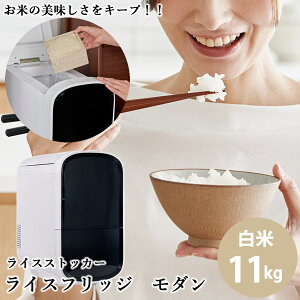 y3800~OFFN[|zyK̔X^[J[zCXtbW _ 11kg () Đp① ① ۗ Ăт CXXgbJ[ ğC VN  ۑ ۊ ۗ NxL[