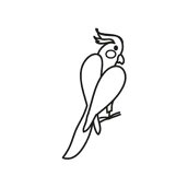楽天市場 フライトスーツの着せ方 鳥グッズの店bird Style楽天市場店 楽天市場 フライトスーツの着せ方 鳥グッズの店bird Style楽天市場店