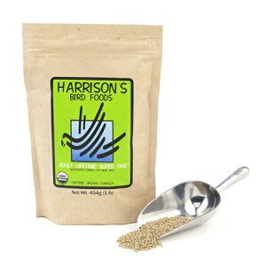 �y���������z�ܖ������@2027�N3���y300pt�N�[�|�� �v���[���g���z�n���\���o�[�h�t�[�h�@�y���b�g�E�A�_���g���C�t�^�C���^�X�[�p�[�t�@�C��