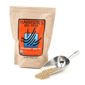 �y���������z�ܖ������@2027�N3���y300pt�N�[�|�� �v���[���g���z�n���\���o�[�h�t�[�h�@�y���b�g�E�n�C�|�e���V�[�X�[�p�[�t�@�C��