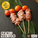 国産親どり 玉ひも串 ホルモン 塩焼き 焼鳥 やきとり 冷蔵 セット BBQ バーベキュー 惣菜 おつまみ 家飲み パーティー…