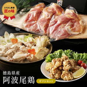 Y g{  3Mtg `h  |t  ؎ς JASF  n{ Y ① { ^pbN Rsgp v[g  Ă ē Ă g 