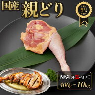 国産 親どり 骨付きもも肉 400g-10kg チルド ひねどり ひねもも 炭火焼き 国産 焼き鳥 お鍋 BBQ 歯応え …