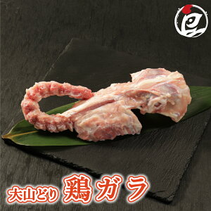 Y {K ( K ) 2H-10kg {    񂱓 o`  Mtg  `h ①