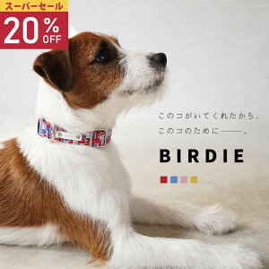 yX[p[Z[zy{z   p  Zbg _炩 킢 n[lX uh ^ ^ ^  J[ Vv  y x y ЊQ ObY Č