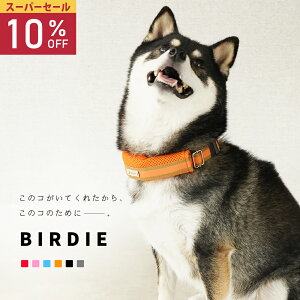 yX[p[Z[1012/10܂Łzy{z   L  Zbg _炩 킢 n[lX uh ^ ^ ^  J[ Vv  y ₷ 