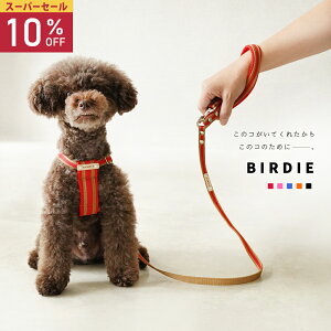 yX[p[Z[1012/10܂Łzy{z  [h L ^ ^ ^   n[lX J[ Zbg  uh  y x y ₷ 